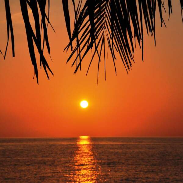 Erlebnis-Reisen Madagaskar, Regenwald, Madagaskar